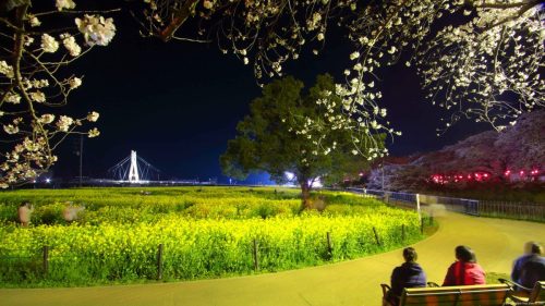 202504070000 spring nyx